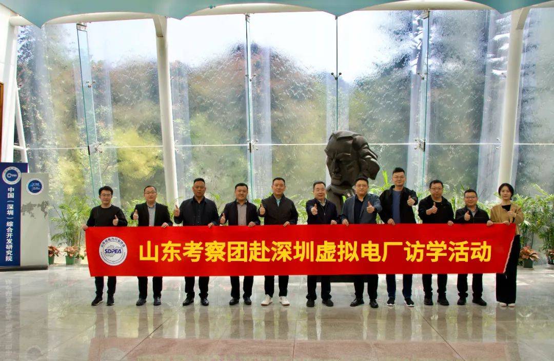 2025年深圳虚拟电厂访学活动圆满完成