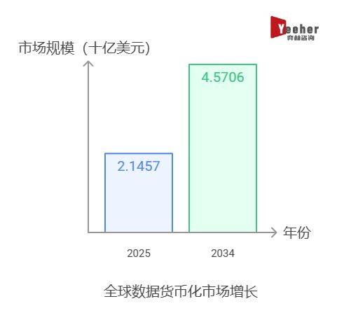 全面分析2025 年全球数据货币化市场