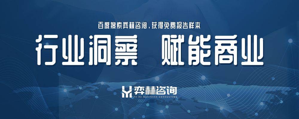 全面分析2025 年全球数据货币化市场