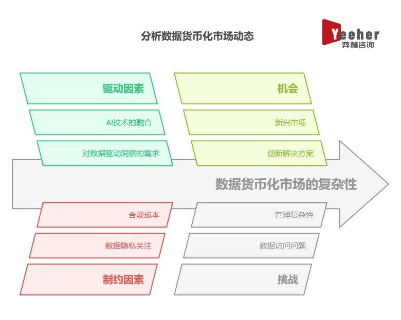 全面分析2025 年全球数据货币化市场