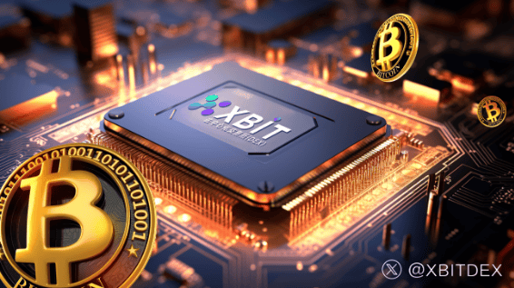 从Coinbase到XBIT：DOGE交易平台进化及融合之路