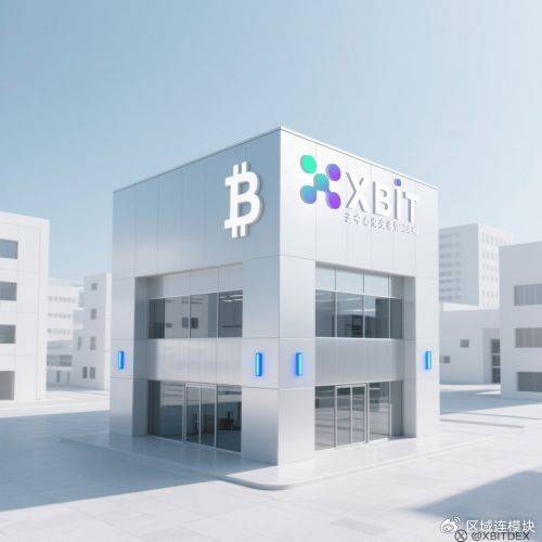 最新MEME币有哪些值得关注？XBIT平台见证热门币种爆发